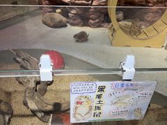 -正佳雨林生态植物园