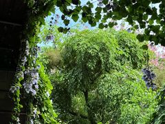 -水乡人家私房菜(逢简店)