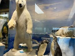 -国家自然博物馆