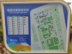 -菊园百果园