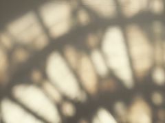 iphone_upload_pic-董家渡天主堂