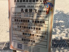-西双版纳原始森林公园
