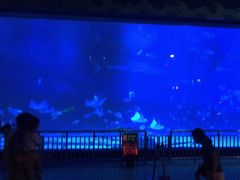 -烟台海昌鲸鲨海洋公园