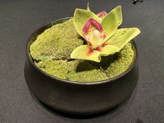 -玖味(老工人西路店)