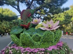 -北陵公园