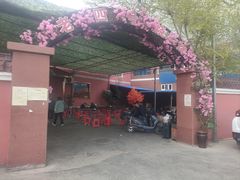 -托克逊老四号餐厅