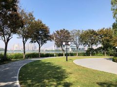 -月湖风景区