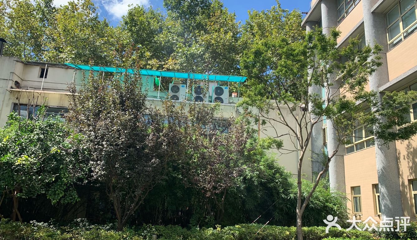 这里可以说是闹中取静