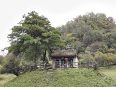 -关山草原