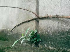 -天河体育中心