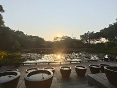 -云溪植物园