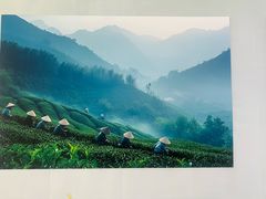 -中国农业博物馆