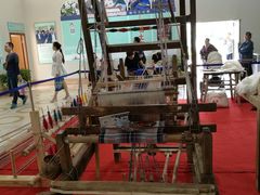 -崇明东平国家森林公园烧烤房车露营地