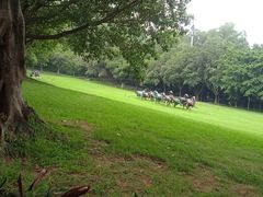 -广州雕塑公园