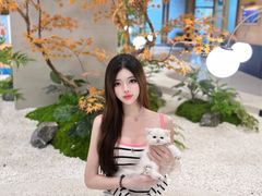 -帕帕拉兹宠物(亚洲旗舰店)