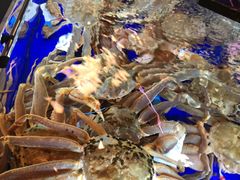 -蟹道乐(道顿堀本店)