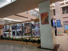 -上海交通大学医学院附属瑞金医院(总院)