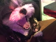 -皇家美孚(麦岛店)