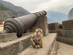 -白帝城·瞿塘峡景区