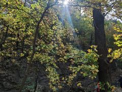 -玉渡山自然风景区