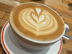 -Elephant Grounds(STARSTREET)