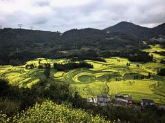 -牛街螺丝田