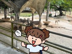 -深圳野生动物园