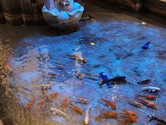 -新沸腾鱼乡(世贸天阶店)