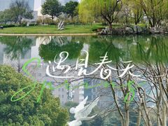 -陆家嘴中心绿地