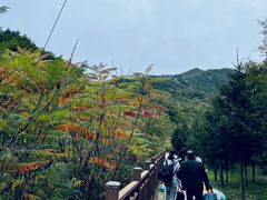 -三块石国家森林公园