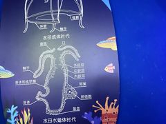 -海合安武汉极地海洋公园