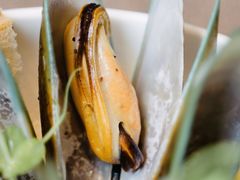 -OGGI TRATTORIA PIZZERIA(深业上城店)