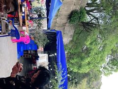 -章记正宗南岗鱼蛋火锅