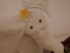 -西双版纳融创皇冠假日度假酒店