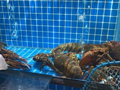-庆赫隆融合菜馆(群力店)