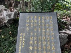 -紫金山天文台