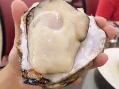 生蚝-蚝专家(北滘店)