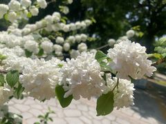 -玄武湖景区-情侣园游乐场