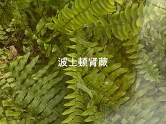 -中山公园