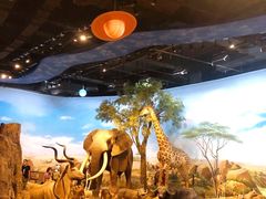 -陕西自然博物馆