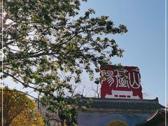 -阳台山自然风景区