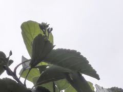 -抚仙湖禄充风景区