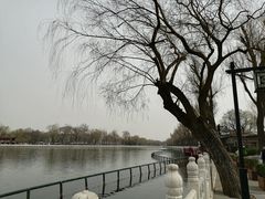 -萤火虫咖啡(后海店)
