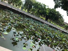 -大旗头古村