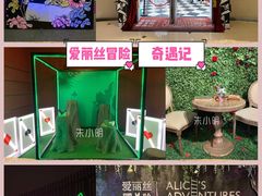 -爱丽丝冒险奇遇记