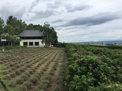 -富田农场