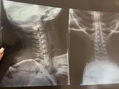 -新偶像健康汇•水疗SPA•豪华自助餐(世界城店)