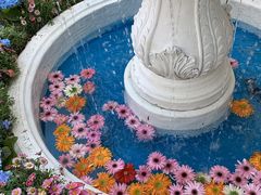 -秀儿家の小确幸花园西餐厅