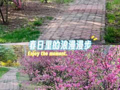-森林公园(尖草坪区)