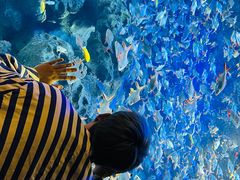 -成都浩海立方海洋公园